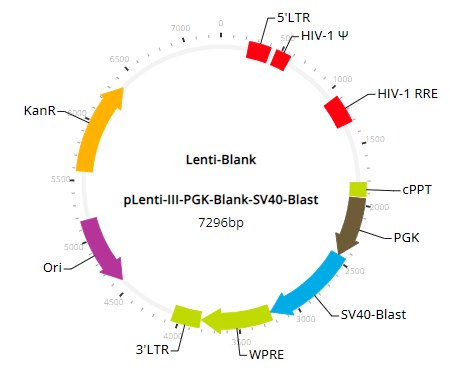 Lenti-PGK-Blank-SV40-Blast Control Vector