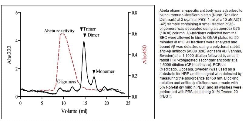 Anti-Abeta (1-40/42) | 4D8 | oligomer specific monoclonal  targeting amyloid-beta