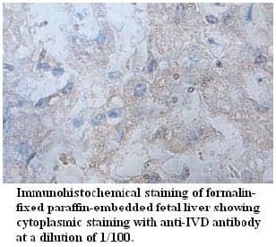 Anti-IVD