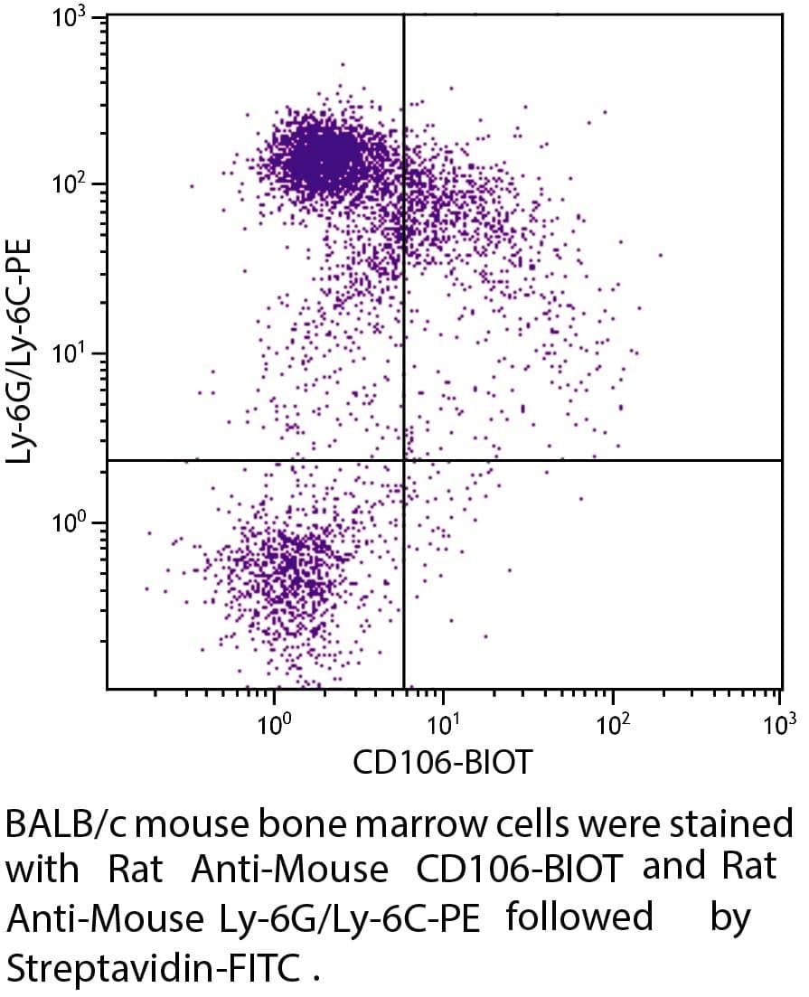Anti-Mouse CD106/VCAM-1-Biotin  Conjugate